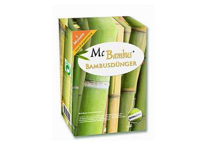 Bambus-Marburg Bambuspflege